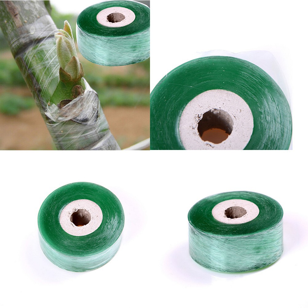 Cuộn Băng Dính 2cm * 100m Hỗ Trợ Ghép Cây