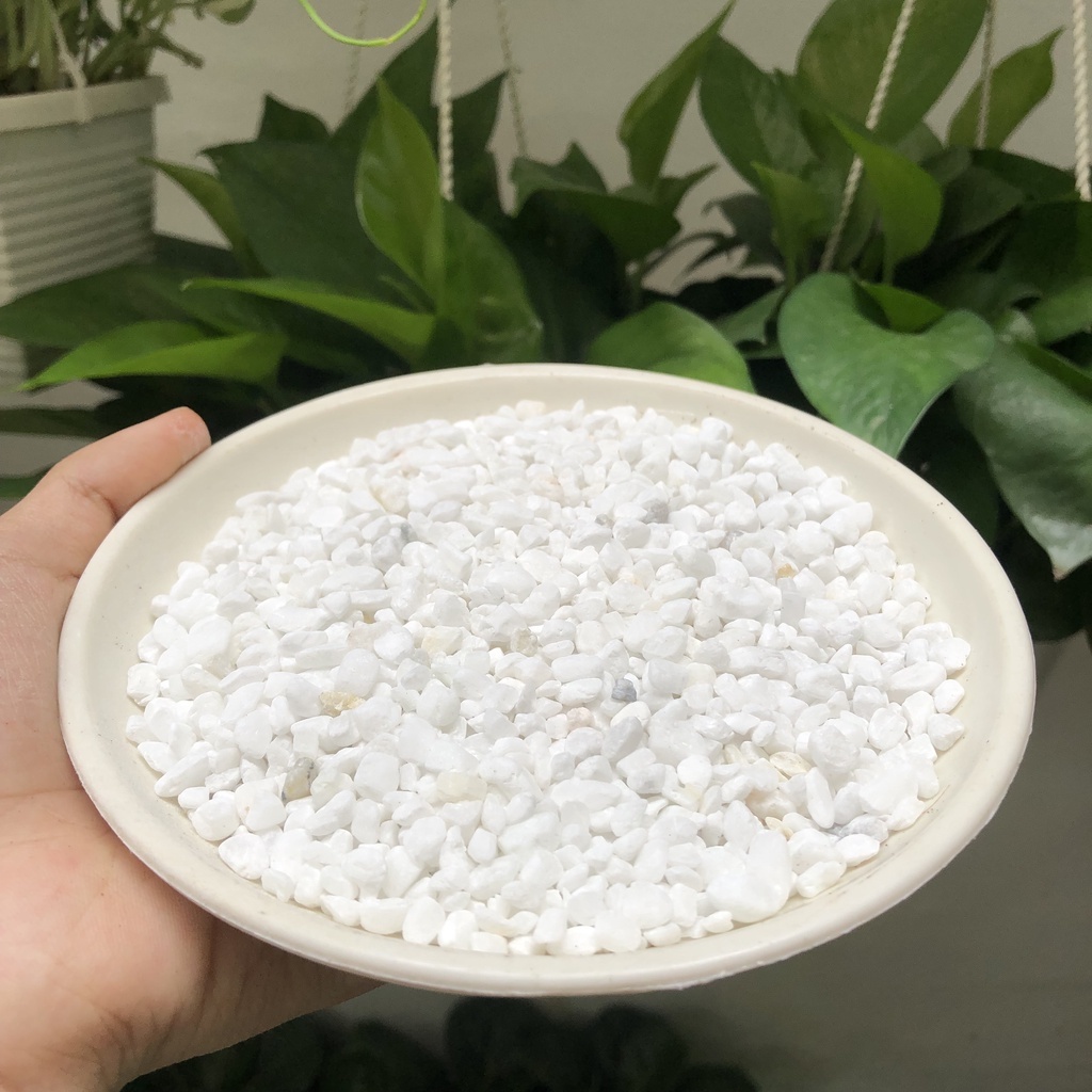 Đá Perlite - Đá Trân Châu (5dm3)