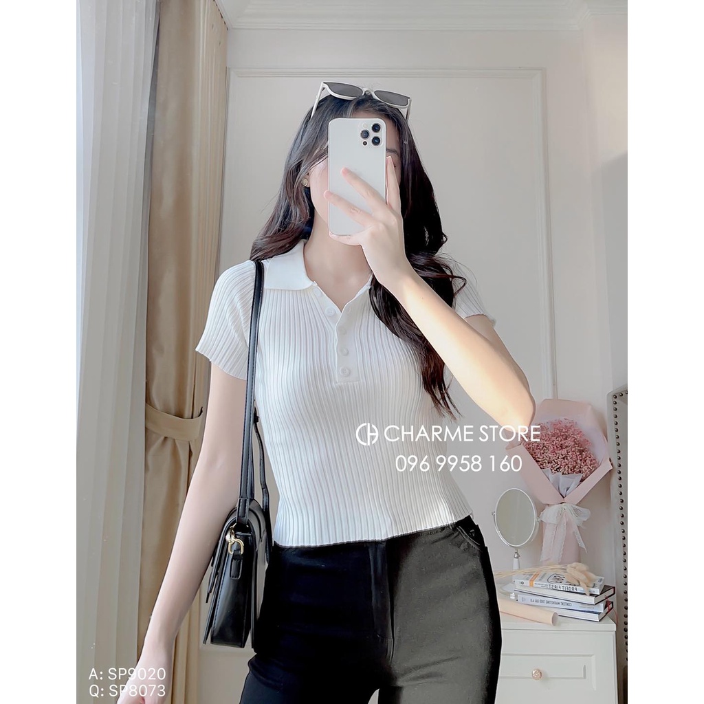 Áo len tăm nữ trơn cộc tay thiết kế Charme 9020 | BigBuy360 - bigbuy360.vn