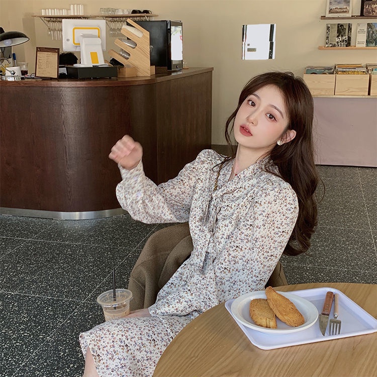 Đầm tay dài phồng cổ chữ V in họa tiết hoa thời trang thu đông cho nữ