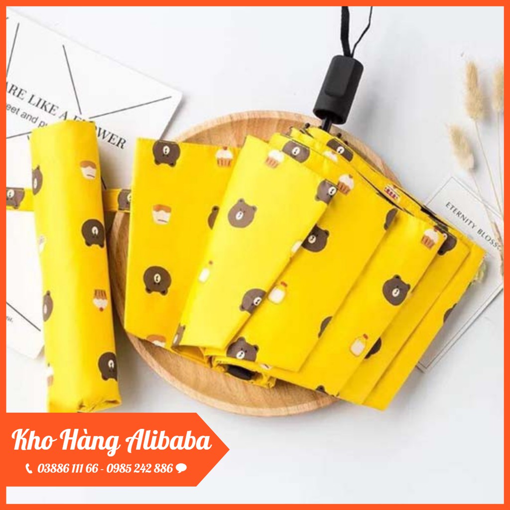 Ô - DÙ GẤP GỌN HÌNH GẤU BROWN SIÊU DỄ THƯƠNG
