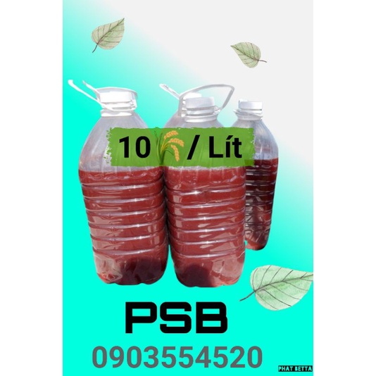 1 LÍT . VI SINH KHUẨN QUANG HỢP. TRONG NƯỚC.KHỎE CÁ