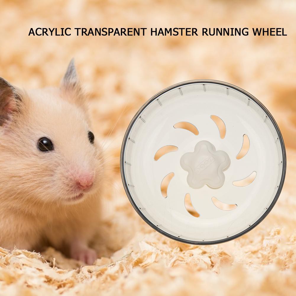 Bánh xe chạy trong suốt cho chuột hamster