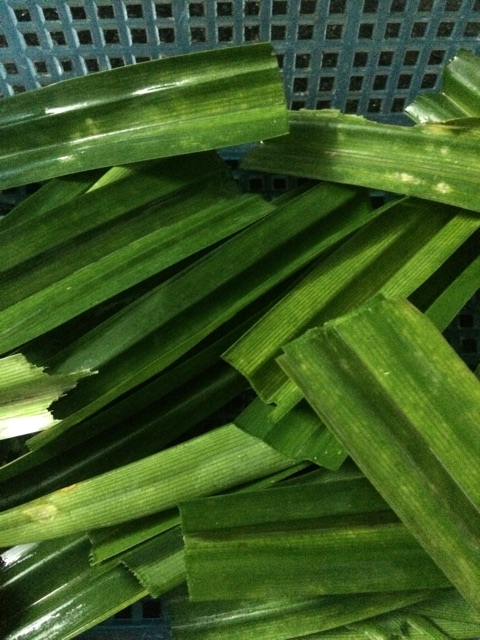 Mứt dừa bánh tẻ 150k/1 kg