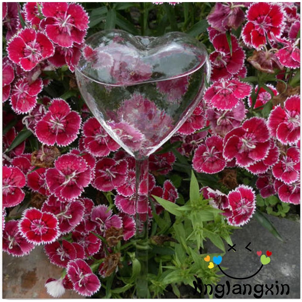BღBღ✿New Glass Self Watering Plant Waterer 6 Types Plant Flowers Water Feeder