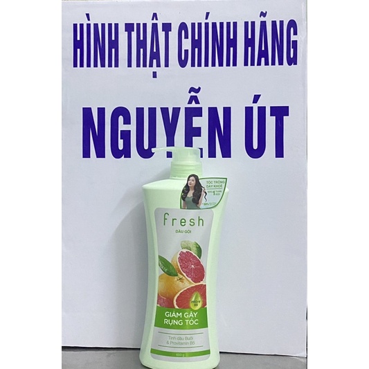 dầu gội fresh 650g