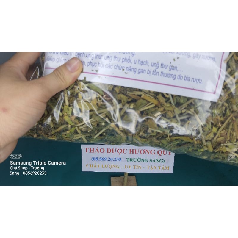 1kg Cây Xương Khỉ (Cam Kết Khô, Sạch, Mới)