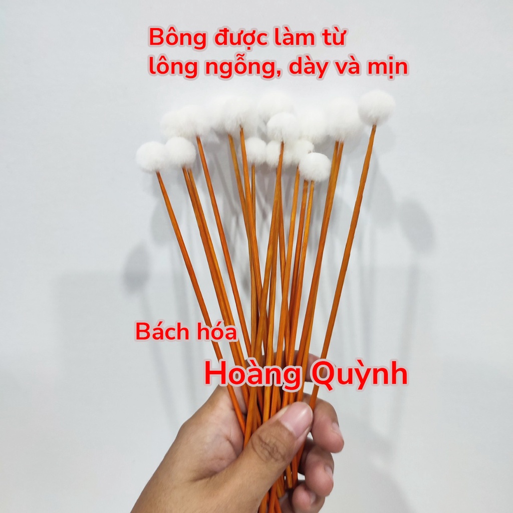 Combo 10 cây bông ngoáy tay (bông ráy tai) lông ngỗng size NHỎ.