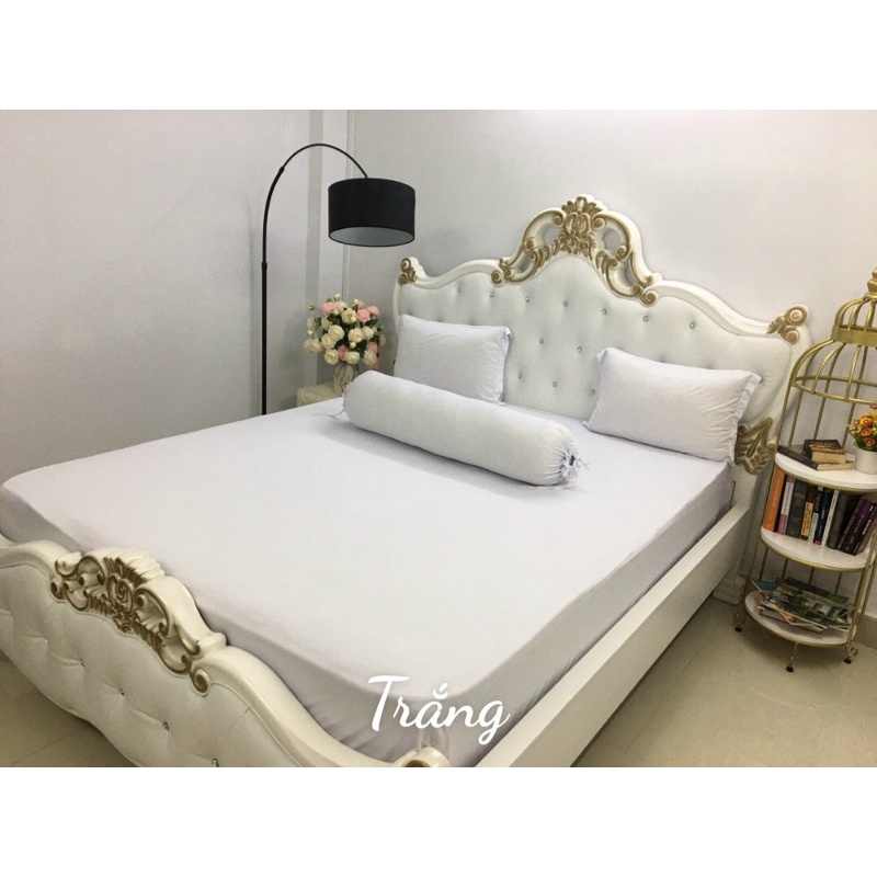 Drap ga thun trơn HQ  4 món mịn, mát, màu sắc đa dạng
