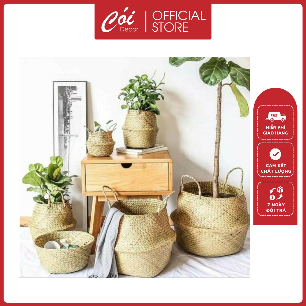Giỏ Cói Trồng Cây Đựng Quần Áo - Decor Tự Nhiên Có Quai Hàng Chất Lượng Tốt