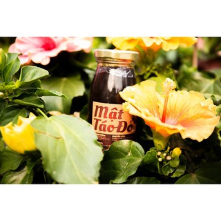 [Mẫu mới] Mật táo đỏ bổ máu TholStore