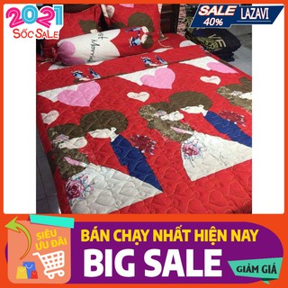 Set 5 Món Bộ chăn hè ga gối 1m5 kèm vỏ gối ôm