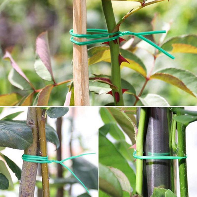 Cuộn Dây Hỗ Trợ Vườn 20m