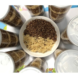 Gạo Lứt Sấy Giòn Mix Chà Bông Ăn Liền Lon 300gr & Lon 100gr