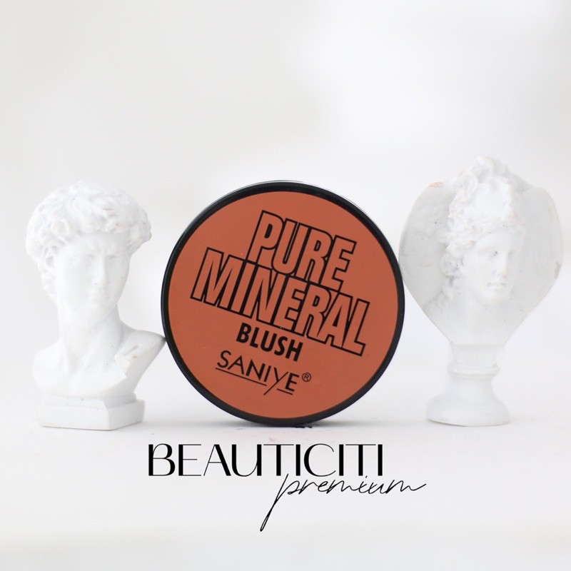 PHẤN MÁ HỒNG LÌ CAM PURE MINERAL SANIYE | BigBuy360 - bigbuy360.vn