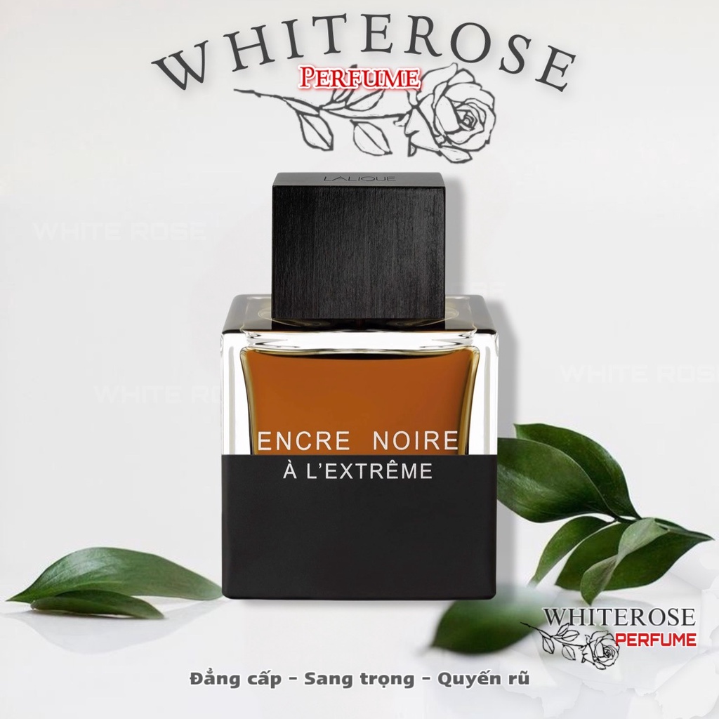 ❀ wнιтe roѕe ❀ Encre Noire À L'Extrême EDP - Nước hoa Chính Hãng