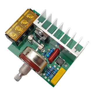 Mạch Dimmer AC 4000W ( Hàng tốt , thị trường có loại rẻ hơn nhiều xin hãy lưu ý )