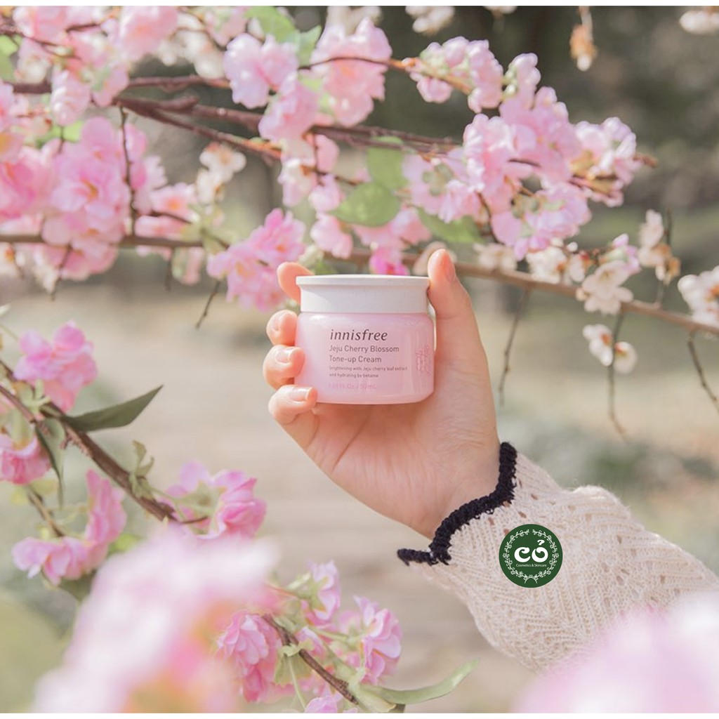 Kem Dưỡng Trắng Nâng Tông Da Innisfree Jeju Cherry Blossom Tone-Up Cream 50ml | BigBuy360 - bigbuy360.vn
