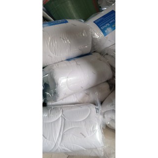 Ruột chăn đông everland