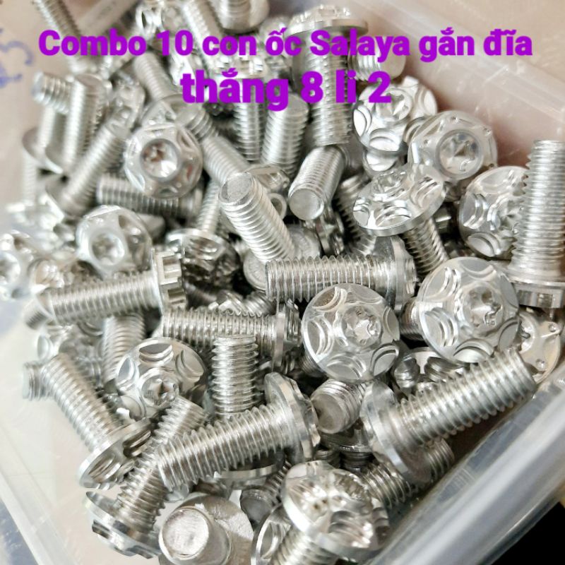 [ Combo 10 con ] Ốc đĩa thắng 8 li 20 Salaya inox304