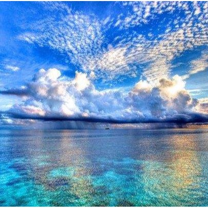 open689.vn, Cửa hàng trực tuyến | BigBuy360 - bigbuy360.vn