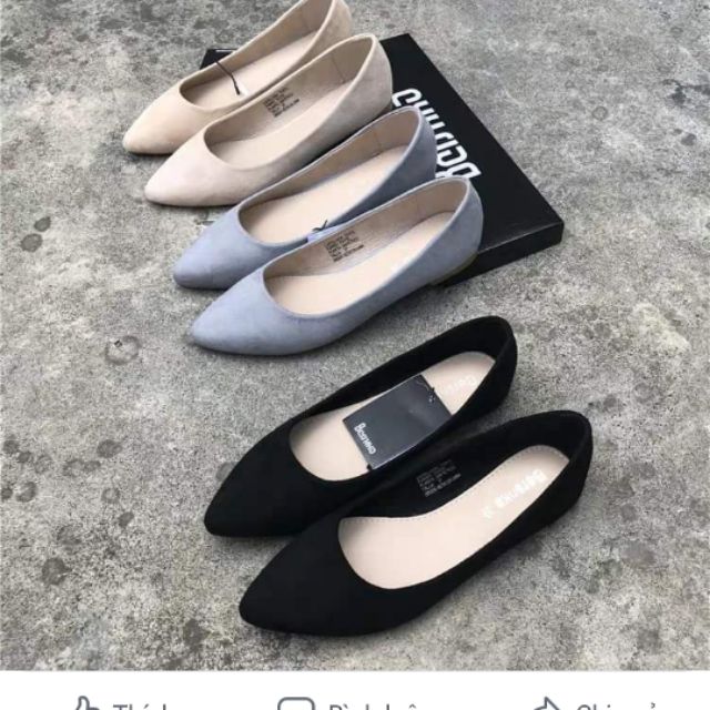 Bệt quảng châu xuất khẩu