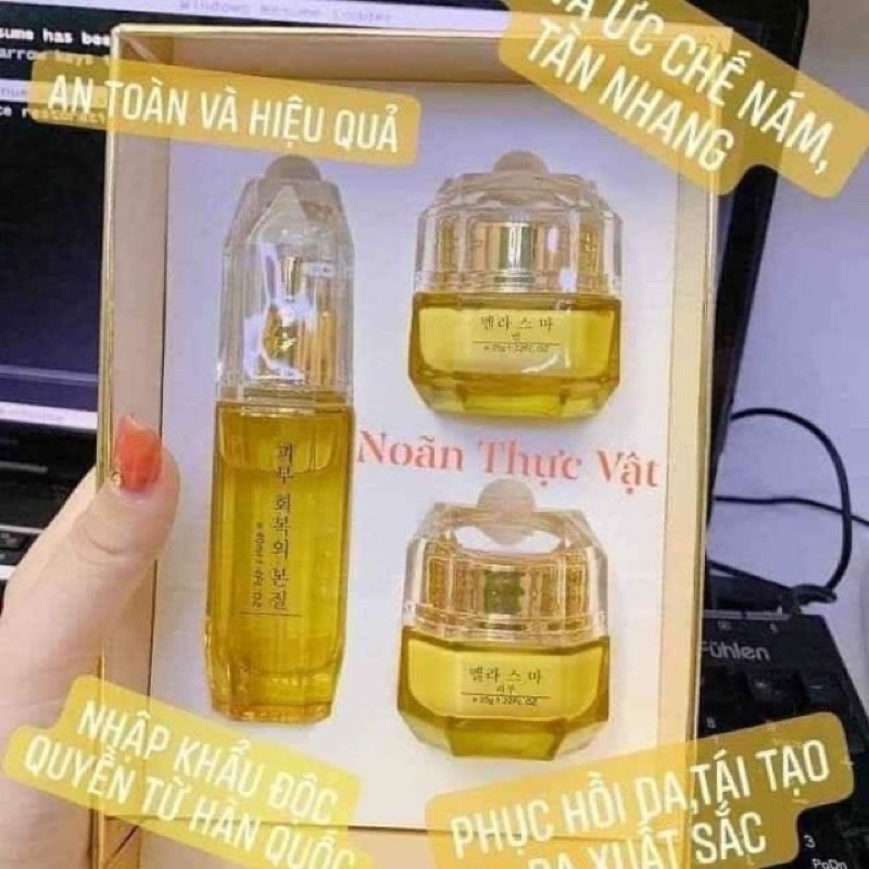 Bộ Noãn Thực Vật Hàn Quốc tái sinh chữa nám.