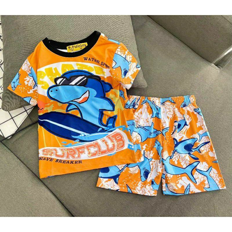 Bộ bé trai thun lạnh in 3D nhân vật hoạt hình siêu hot