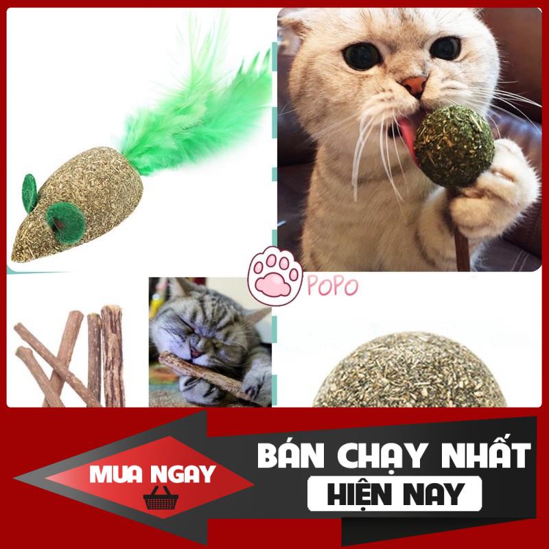 [❌GIÁ SỈ❌]  Đồ chơi Catnip Cỏ Bạc Hà cho Mèo Vui Vẻ 0 ❤️