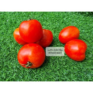 Cà Chua Đà Lạt - 500g, 1kg