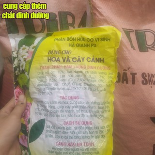 1 kg đất sạch trồng cây cảnh mini (Hỗn hợp đất trộn TRIBAT trồng rau sạch trong chậu)