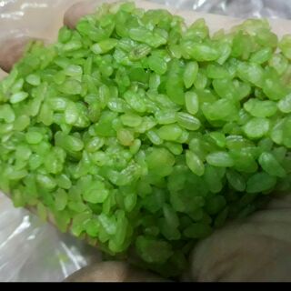 cbo sỉ cốm dẹt xanh