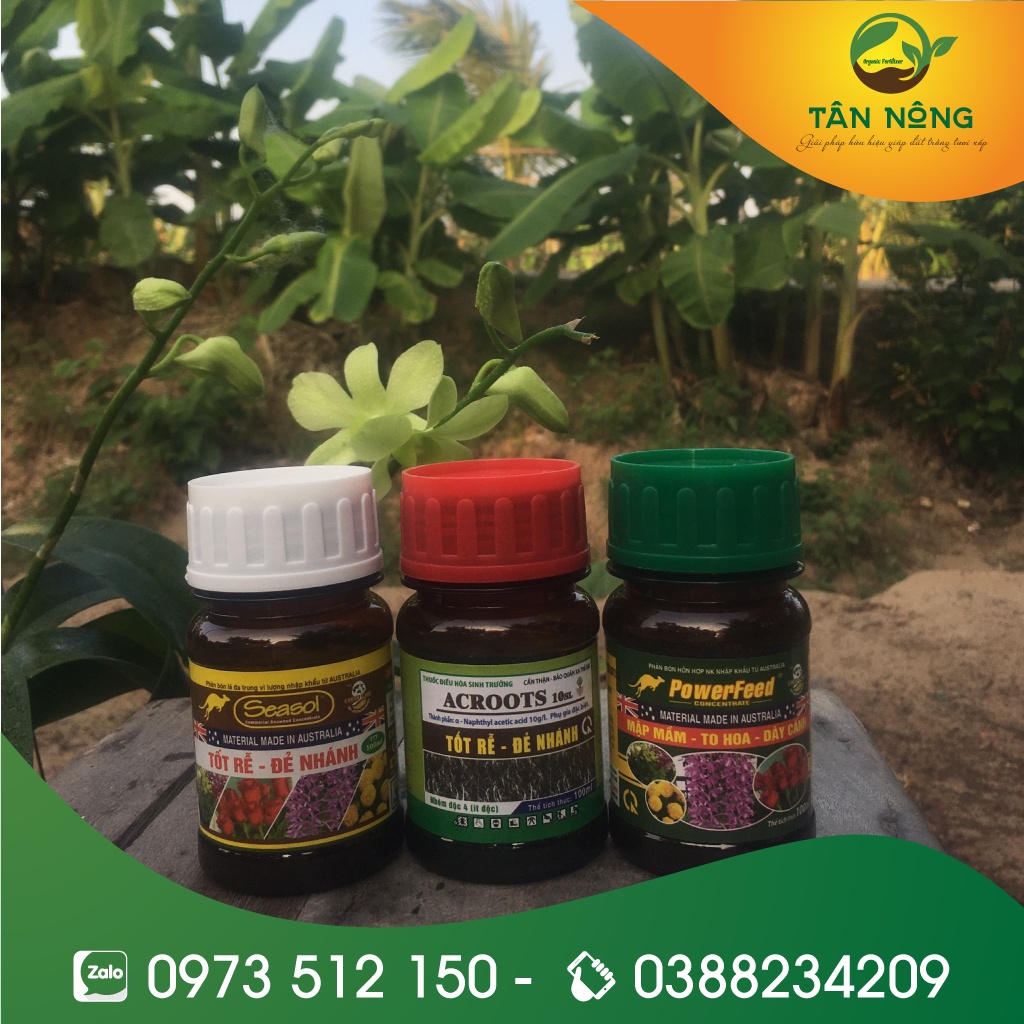 Combo Bộ Ba Kích Rễ - Kích Chồi - Dưỡng Hoa, Seasol, Acroots, Powerfeed