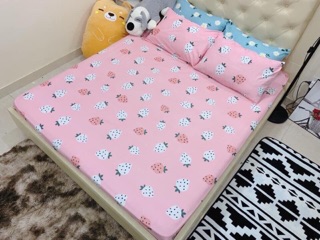 Bộ ga gối cotton polly (ảnh thật)