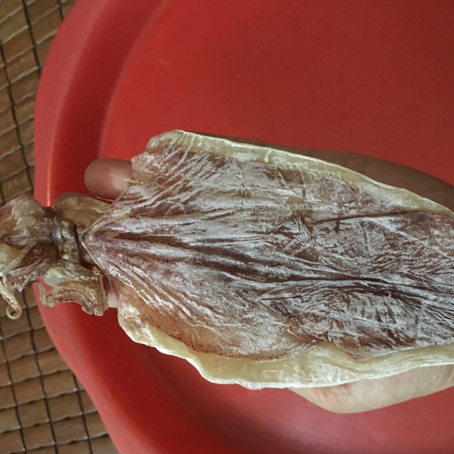 [Mực Câu Ngon] Gói 20 Con Mực Khô Vân Đồn To Bằng Bàn Tay | BigBuy360 - bigbuy360.vn