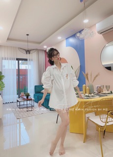 Áo sơmi cổ sen con chuột