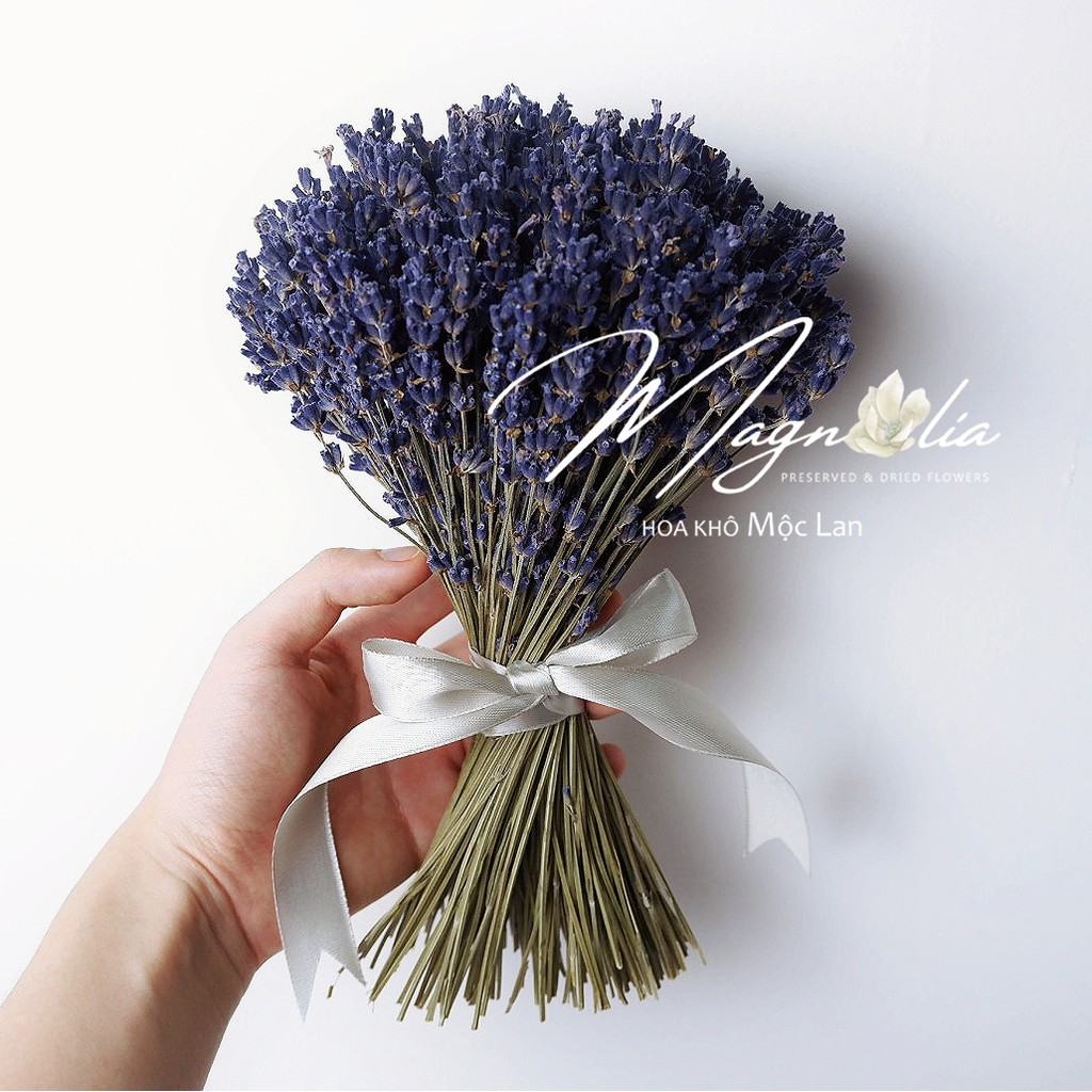 Hoa khô Lavender ❤️FREESHIP❤️ True Lavender hoa khô thuần chủng Pháp, tím than siêu đẹp, ít rụng