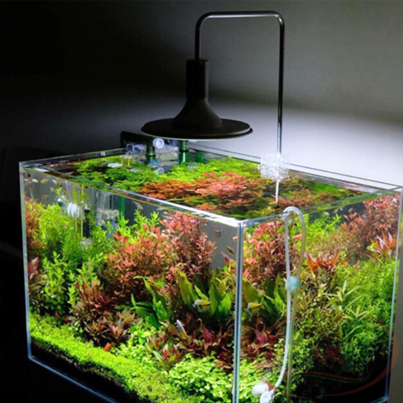 Đèn Led Dĩa Xinma Aquarium Lamp 20W, 40W Led Trắng Màu RGB