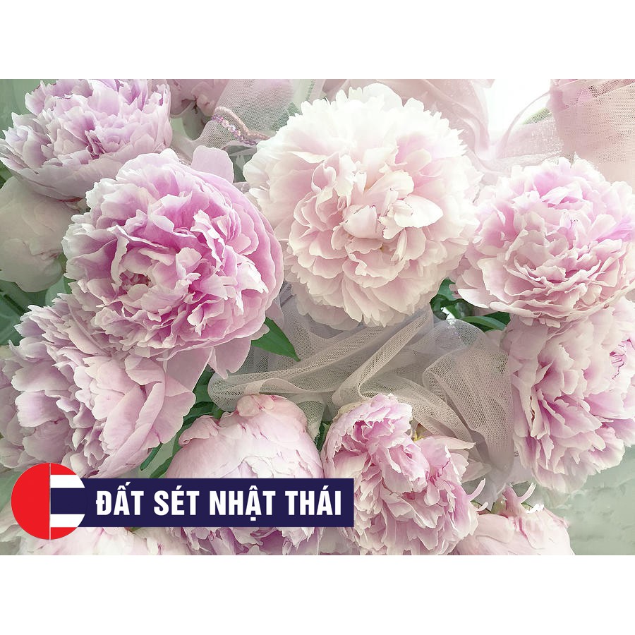 KHUÔN HOA MẪU ĐƠN PEONY HOA ĐƯỜNG, XÔI HOA ĐẬU, KHUÔN CẮT HOA ĐẤT SÉT