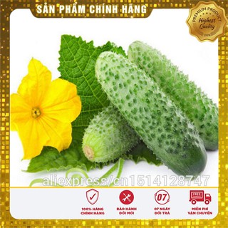 -20 % COMBO 05 LOẠI DƯA NGON NGỌT NHẤT