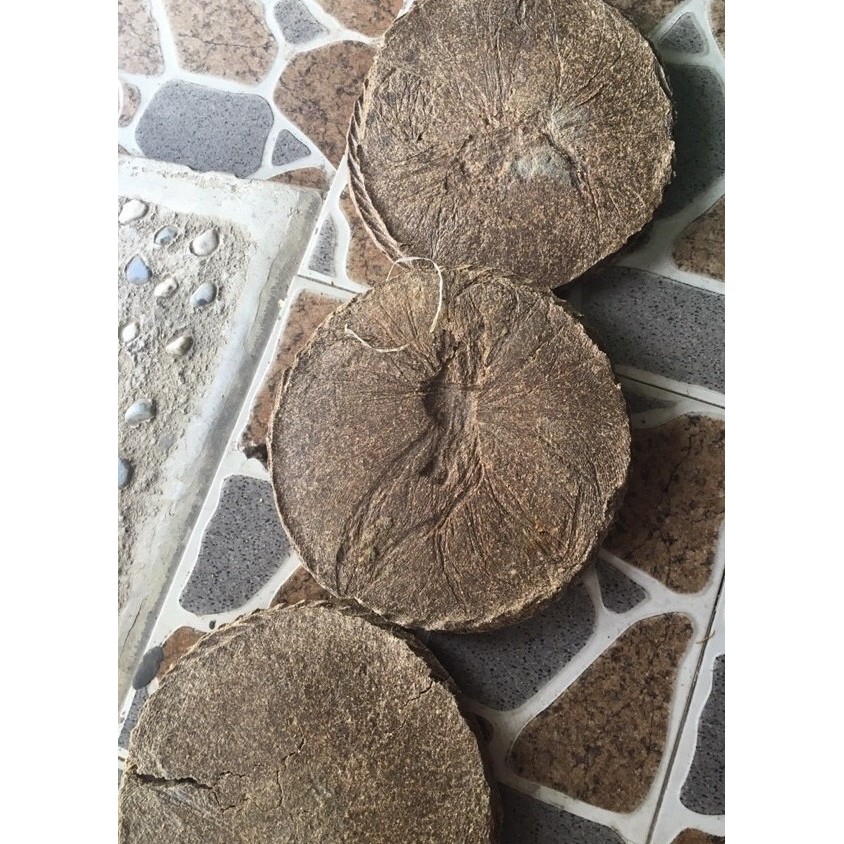 Bánh dầu đậu phộng - bã lạc