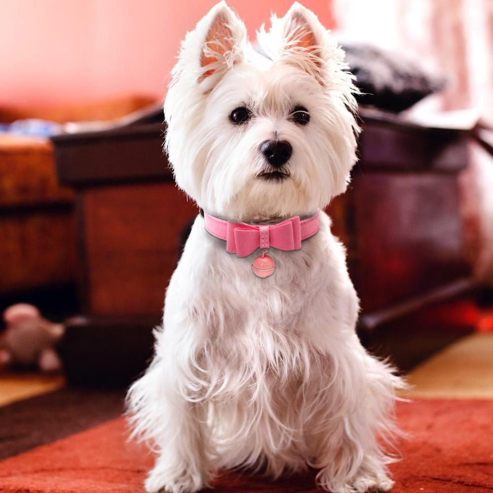 Vòng Cổ BằNg Da Cho Thú Cưng