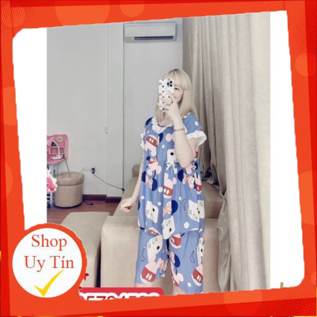 bộ ngố bầu chất lanh nhập 100% cực đẹp hàng bán shop