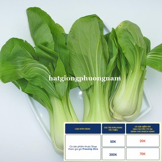 20GR - HẠT GIỐNG CẢI THÌA