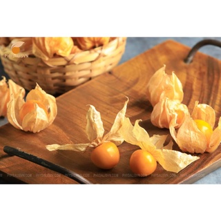 Tầm Bóp Thù Lù Nam Mỹ loại 1 hộp 100g