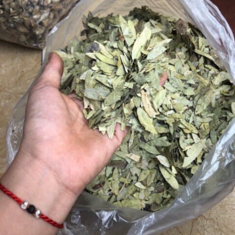 Phần tả diệp giảm cân cực kì hiệu quả 1 kg
