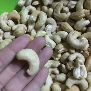 hạt điều tươi cả hạt