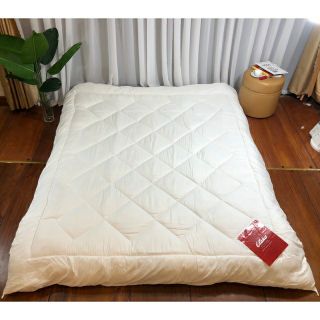 [Phụ kiện]Ruột Chăn Bông Tấm Khách Sạn 2.6kg