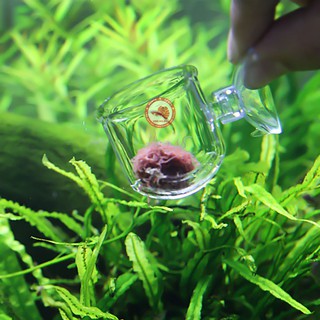 Cốc Đựng Trùn Chỉ Trùn Huyết Cho Cá Ăn