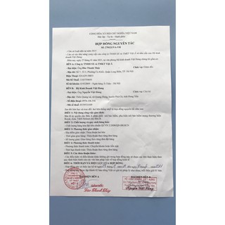 Mũ bảo hiểm Royal M136 (đen nhám)